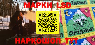 стафф Кингисепп