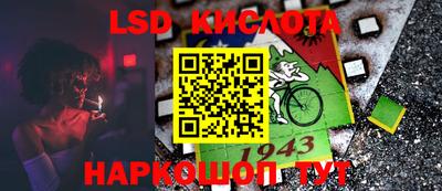 стафф Кингисепп