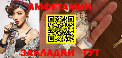 стафф Кингисепп