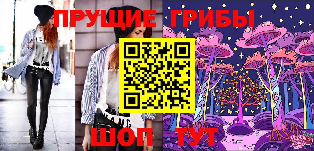 Псилоцибиновые грибы Psilocybe  Вход с VPN  Канаш 